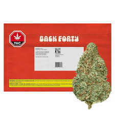 Back Forty Chemzilla 28g Dried Flower