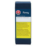 Foray Blackberry Cream Pen - .3g