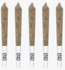1964 Kush Mints 5 x 0.5g Pre-Rolls