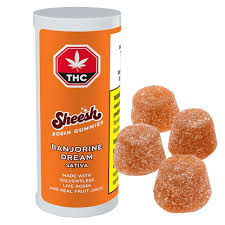 Sheesh Banjorine Dream Sativa Live Rosin Gummies 4pk Soft Chews
