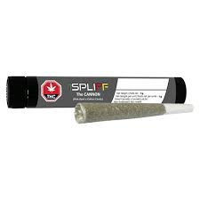 1SPLIFF The Cannon 1 x 1g Pre-Roll