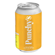 PUNCHY'S Citrus Punch 355ml Beverage