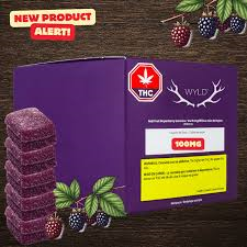 Wyld Multipack of 10 Wyld Boysenberry 2:1:1 CBD:THC:CBN Gummies (200mg CBD:100mg THC:100mg CBN)
